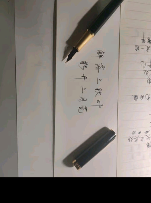 Custom Fountain Pen Classic